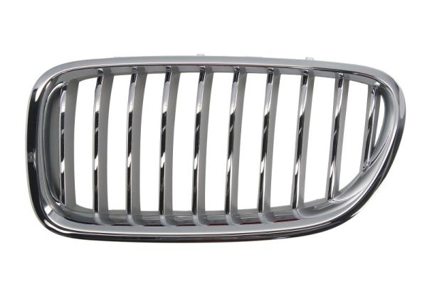 Radiator Grille  Art. 6502070067997CP