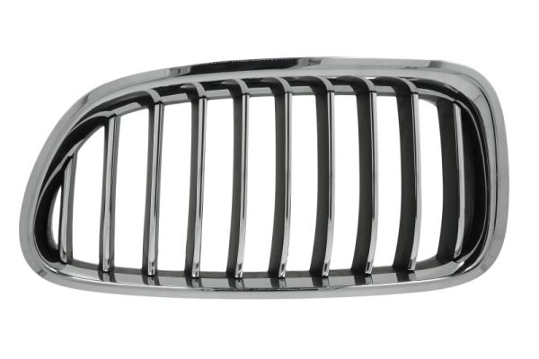 Radiator Grille  Art. 6502070067997P