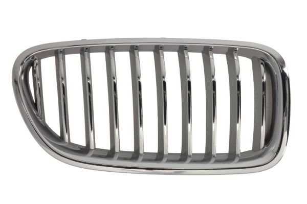 Radiator Grille  Art. 6502070067998CP