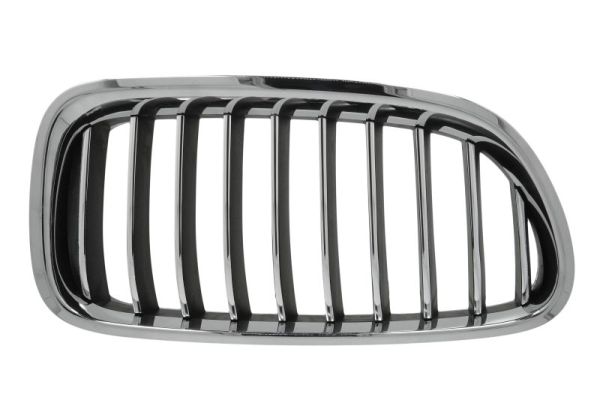 Radiator Grille  Art. 6502070067998P