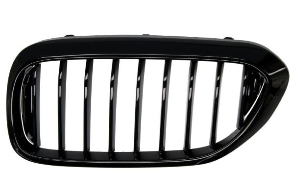 Radiator Grille  Art. 6502070068991P