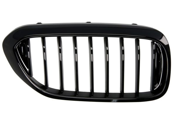 Radiator Grille  Art. 6502070068992P