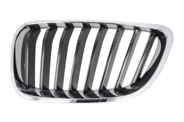 Radiator Grille (Left)  Art. 6502070069991P