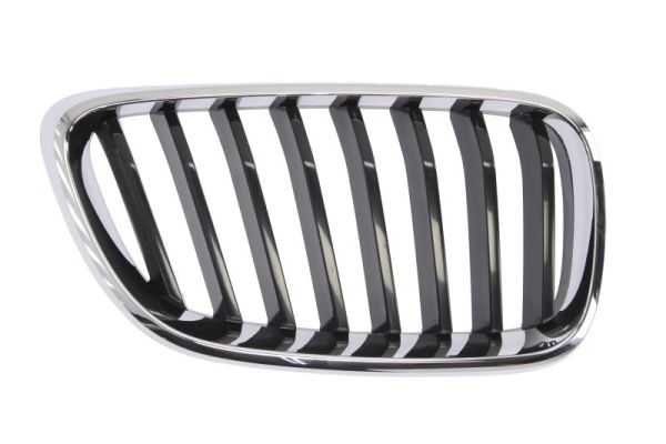 Radiator Grille (Right)  Art. 6502070069992P