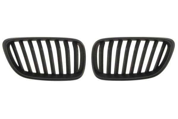 Radiator Grille  Art. 6502070069994P