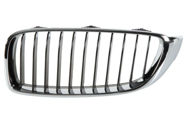 Radiator Grille (Left)  Art. 6502070070991P