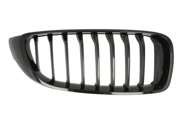 Radiator Grille  Art. 65020700709922P