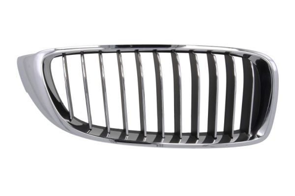 Radiator Grille (Right)  Art. 6502070070998P