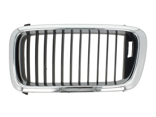 Radiator Grille (Left)  Art. 6502070075991P