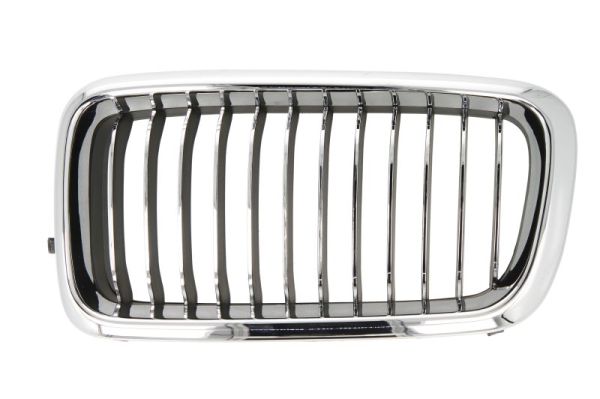 Radiator Grille (Left)  Art. 6502070075995PP