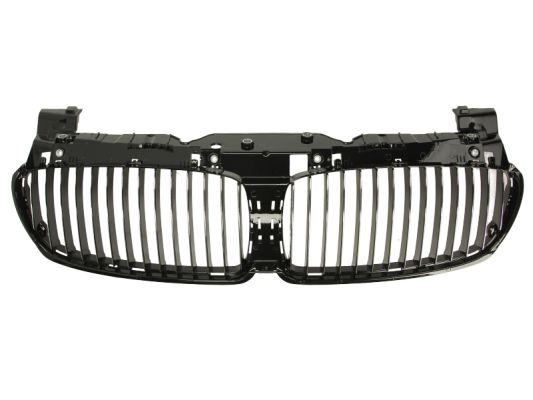 Radiator Grille (Inner part)  Art. 6502070076992P