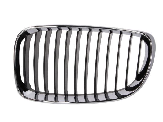 Radiator Grille (Left)  Art. 6502070085991PP