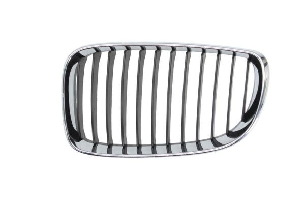 Radiator Grille (Left)  Art. 6502070085991PQ