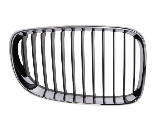 Radiator Grille (Right)  Art. 6502070085992PP