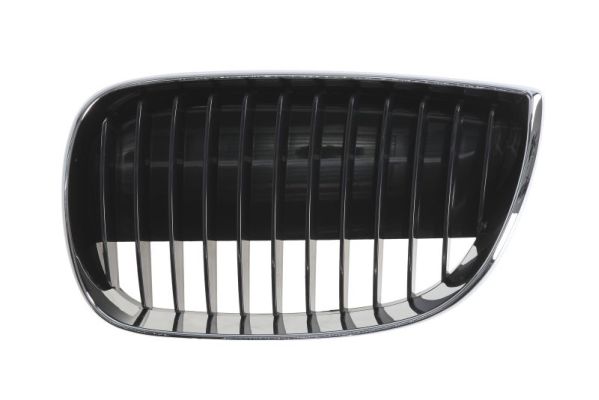 Radiator Grille (Left)  Art. 6502070085993P