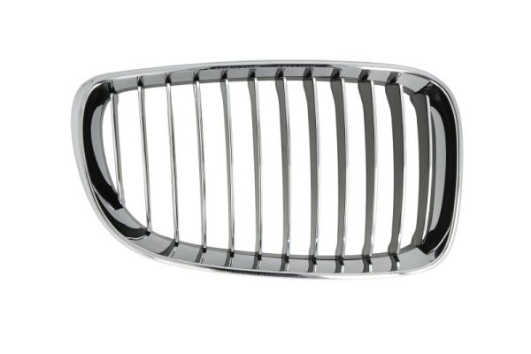 Radiator Grille  Art. 6502070085996P