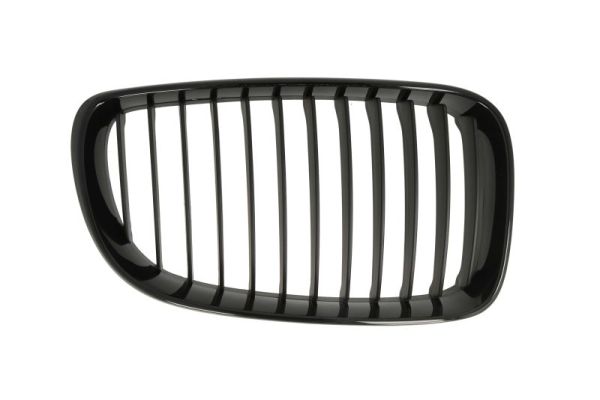 Radiator Grille  Art. 6502070085998P