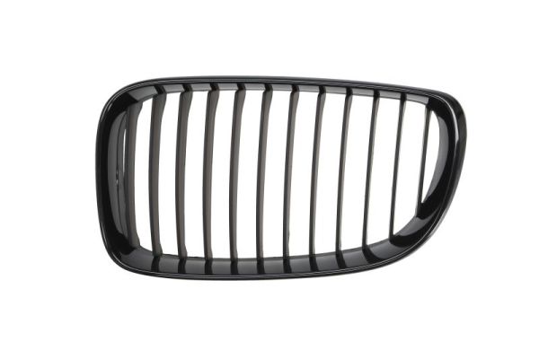 Radiator Grille  Art. 6502070085999P