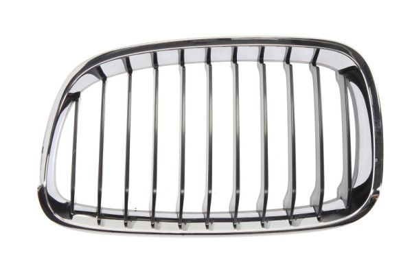 Radiator Grille (Left)  Art. 6502070086991P