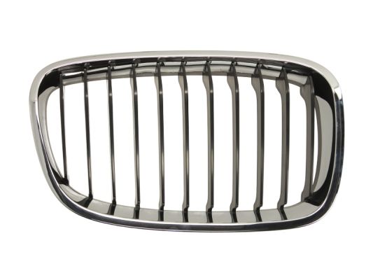 Radiator Grille (Right)  Art. 6502070086992P