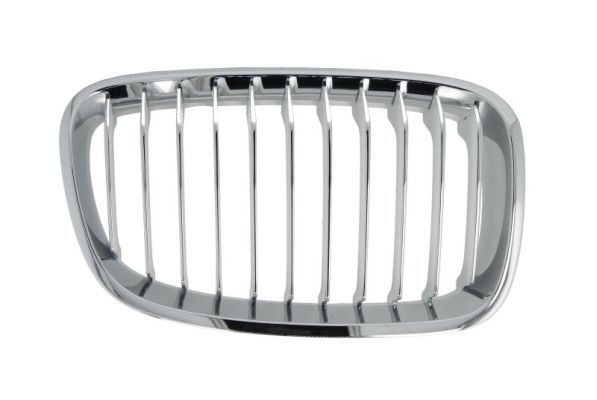 Radiator Grille  Art. 6502070086994P