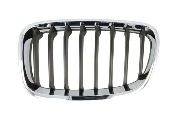 Radiator Grille  Art. 6502070086995P