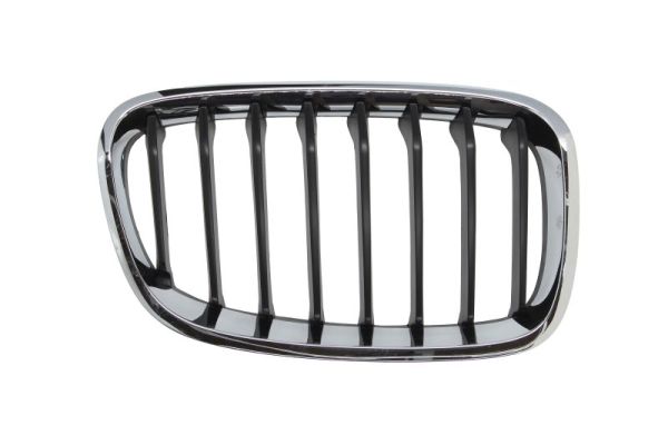 Radiator Grille  Art. 6502070086996P