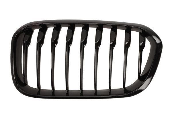 Radiator Grille  Art. 6502070086997P