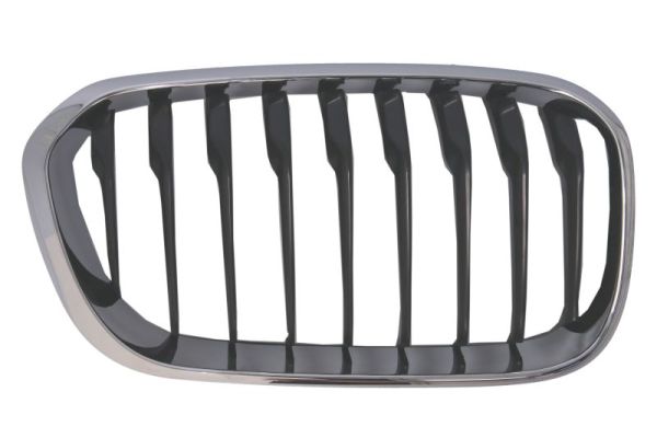 Radiator Grille  Art. 6502070086998CP