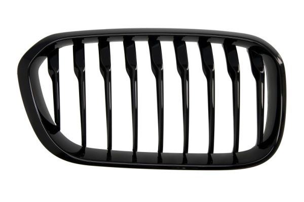 Radiator Grille  Art. 6502070086998P