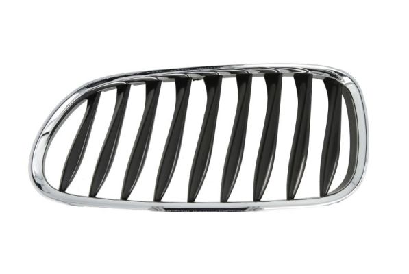 Radiator Grille  Art. 6502070089991P