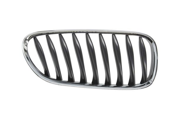 Radiator Grille  Art. 6502070089992P