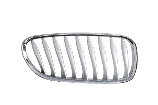 Radiator Grille  Art. 6502070089994P