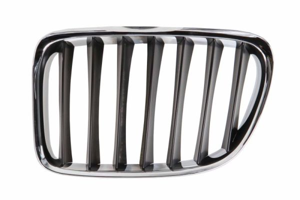 Radiator Grille (Left)  Art. 6502070092991P