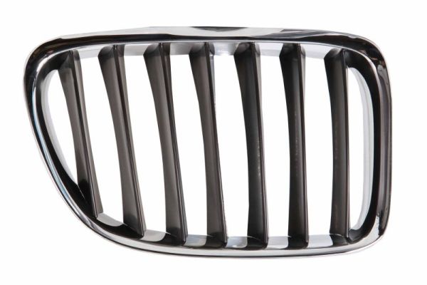 Radiator Grille (Right)  Art. 6502070092992P