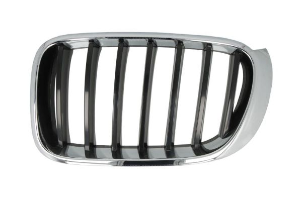 Radiator Grille  Art. 65020700939933P