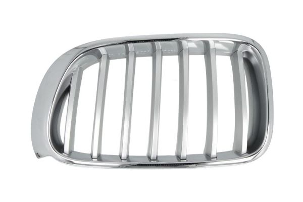 Radiator Grille  Art. 65020700939955P