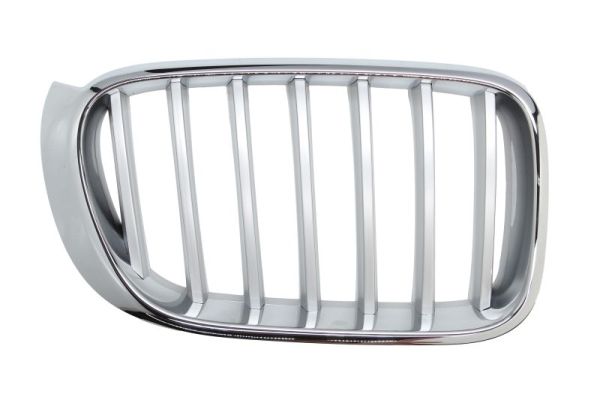 Radiator Grille  Art. 65020700939966P