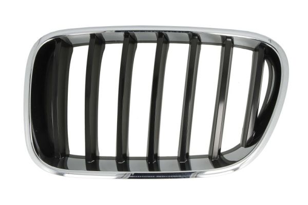 Radiator Grille  Art. 65020700939970P