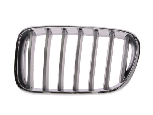 Radiator Grille (Left)  Art. 6502070093997P