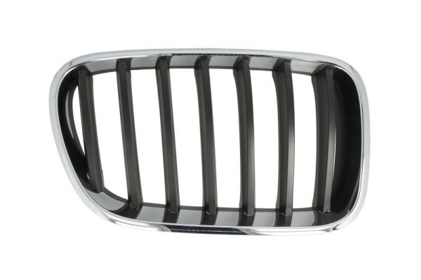 Radiator Grille  Art. 65020700939980P