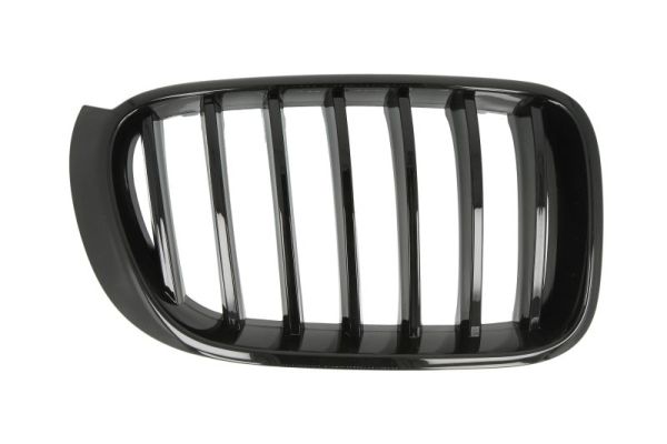 Radiator Grille  Art. 65020700939988P