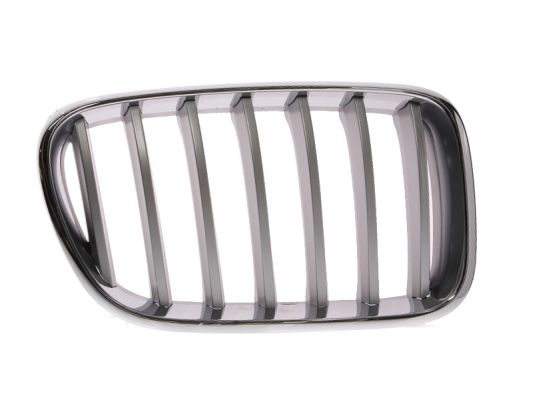 Radiator Grille (Right)  Art. 6502070093998P