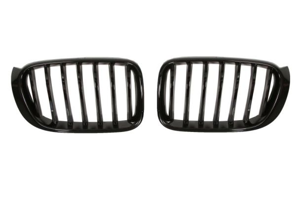 Radiator Grille  Art. 6502070093999P