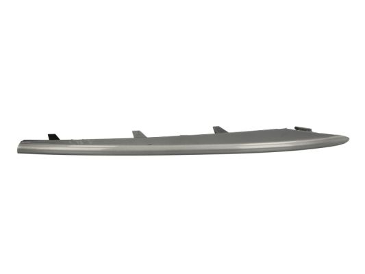 Trim/Protection Strip, bumper (Forward, left)  Art. 6502070096921P