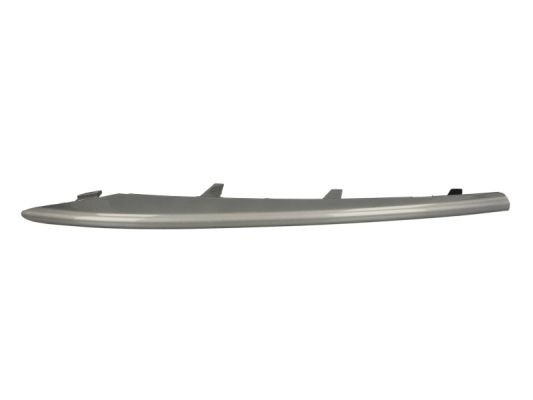 Trim/Protection Strip, bumper (Forward, right)  Art. 6502070096922P