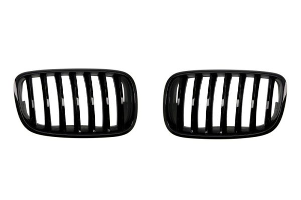 Radiator Grille  Art. 6502070096990P