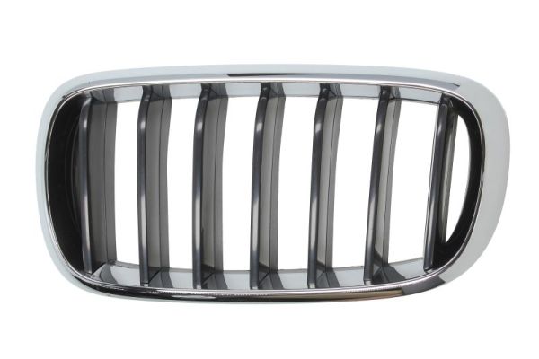 Radiator Grille  Art. 65020700969911P