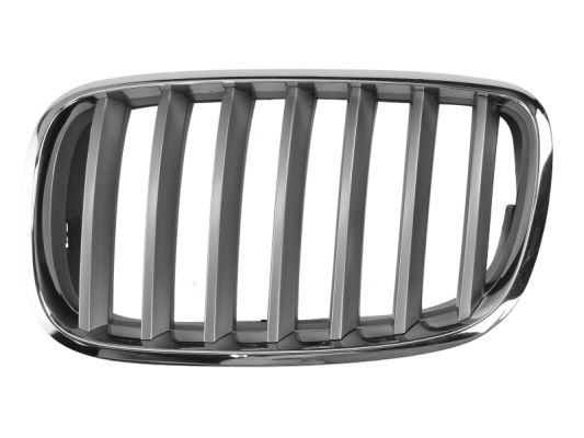 Radiator Grille (Left)  Art. 6502070096991PP