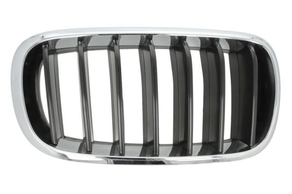 Radiator Grille  Art. 65020700969922P